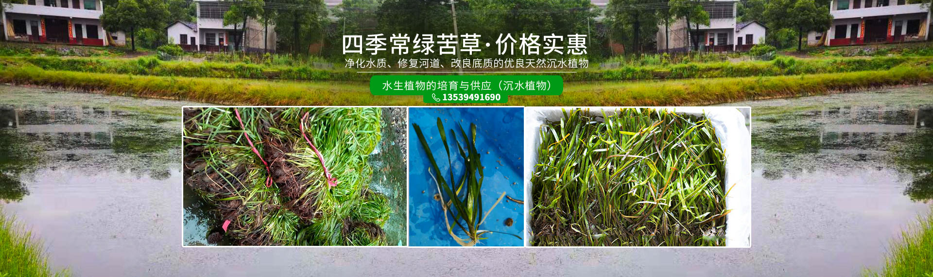 湖南澤宏生態科技有限公司_長沙水環境流域生態治理|長沙水污染防治|長沙水體生態修復
